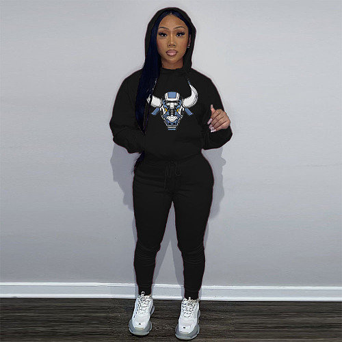Winter Hooded Sweatshirt Sporty Pants 2 Piece Sets DN-8999N2
