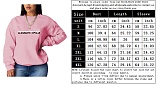 Letter Print Long Sleeve Harajuku Sweatshirt Pillovers DN-8889E1