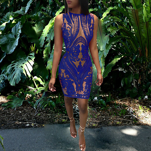 Sheer Mesh See Through Sequined Party Dresses TE-4532