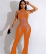 Sexy Solid Mesh Patchwork Backless Bodycon Jumpsuit BN-9402