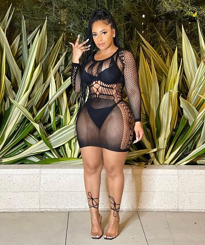 See Through Mesh Hollow Out Skinny Sexy Dresses DLS-22D13770