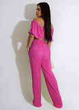 Chic Off Shoulder Pleated Crop Tops Wide Leg Pants Set WSM-5339