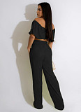 Chic Off Shoulder Pleated Crop Tops Wide Leg Pants Set WSM-5339
