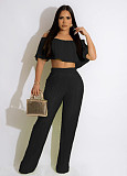 Chic Off Shoulder Pleated Crop Tops Wide Leg Pants Set WSM-5339