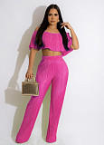 Chic Off Shoulder Pleated Crop Tops Wide Leg Pants Set WSM-5339
