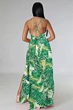 Sexy Floral Print Spaghetti Strap Backless Maxi Dress XMY-9400