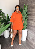 Loose Turn Down Collar Shirts Top Shorts Two Piece Set RS-9908