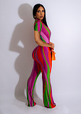 Stripe Print Deep V Neck Lace Up One Piece Jumpsuit TE-4614