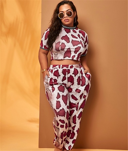 Snake Skin Print Short Sleeve T Shirt Pants Two Piece Set WDS-220213