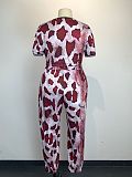 Snake Skin Print Short Sleeve T Shirt Pants Two Piece Set WDS-220213