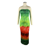 Digital Printing Sexy Strapless Bodycon Maxi Dresses TE-4624