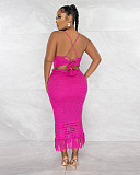 Backless Bandage Crop Tops Tassel Skirt 2 Piece Sets YD-8706
