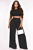 Solid Short Sleeve Crop Tops Wide Leg Pants Suit XMY-9411