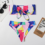 Color Patchwork Split Bikini Beach Swimsuit LY21007