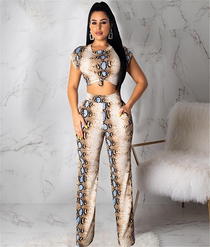 Serpentine Print Short Sleeve Two Piece Pants Set CHY-1365