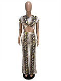 Serpentine Print Short Sleeve Two Piece Pants Set CHY-1365