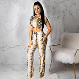 Serpentine Print Short Sleeve Two Piece Pants Set CHY-1365