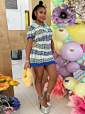 Stripe Polo Neck Short Sleeve Knitted Dresses DY-6900