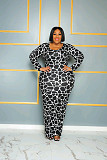 Printing Long Sleeve Plus Size Maxi Dresses TB-5702