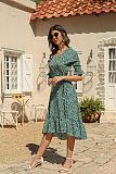 Trendy Point Print V-neck A-line Maxi Dresses OLN-6046
