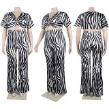 Casual Zebra-stripe Print Crop Top with Flared Pants 2Pieces Set NY-2755