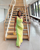 Elegant Ladies Print V-neck Sleeveless Long Party Dresses RC-3174