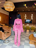 Casual 2 Pieces Sets Girls Long Sleeves Crop Top And Long Pants YD-8767
