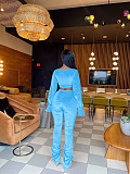 Casual 2 Pieces Sets Girls Long Sleeves Crop Top And Long Pants YD-8767