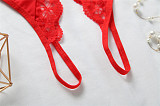 Women Low Waist Transparent Lace Open Crotch Temptation Sexy Thong RS-3022