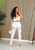 Sexy Strapless Crop Top With Mesh Split Long Pants Two Pieces Set NY-7332