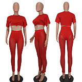 Sexy Transparent Mesh Women Two-piece Sets YD-8576
