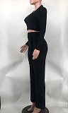 Rib Fabric V-neck Crop Top Wide Leg Pants Two Pieces Set XMY-9463
