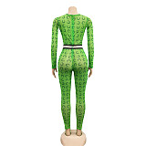 Net Yarn Perspective Long Sleeve High Waist Jumpsuit Foot Pants BY-3618