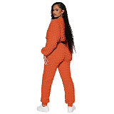 Casual Women Solid Color Zipper Long Pants 2 Pieces Suit YD-8785-H6