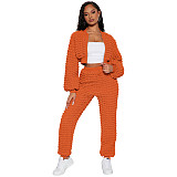 Casual Women Solid Color Zipper Long Pants 2 Pieces Suit YD-8785-H6