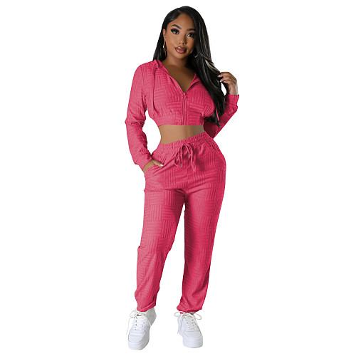 Women Hoodies Crop Jacket And Sporty Pants Casual Two Pieces Set YD-8782-B12
