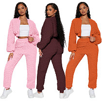 Casual Women Solid Color Zipper Long Pants 2 Pieces Suit YD-8785-H6