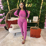 Women Long Sleeves Crop Top With Bodycon Pants Sporty Suits YF-10645
