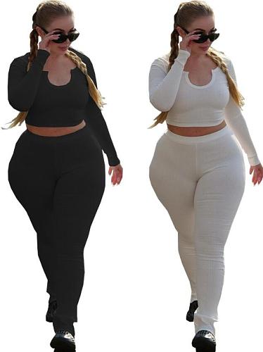 Large Size 5XL Women Crop Top And Long Pants 2 Pieces Suits FNN-8721