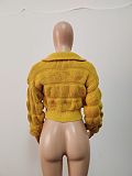 Fashion Women Lantern Sleeve Zipper Front Sweater XT-8218