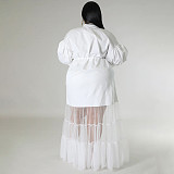 Large Size Ladies Lapel Neck Low-cut Mesh Long Dresses NNWY-7937