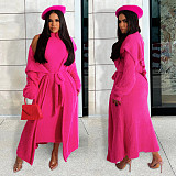 Plush Dress Long Sleeves Cardigan Coat 2 Piece Outfits JLY-19484