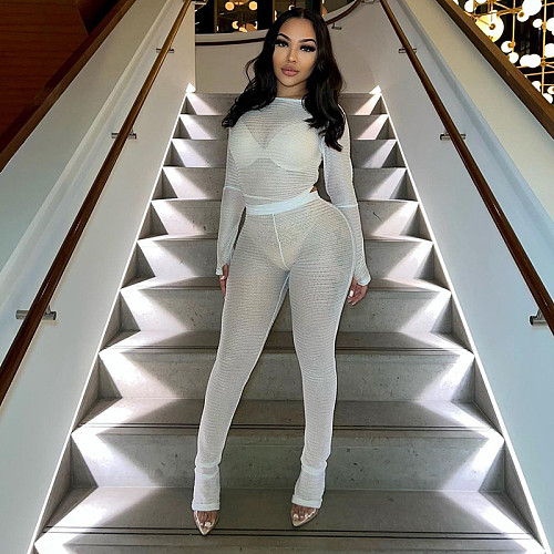 Mesh Perspective Tight Long Sleeve Top Pants Casual Set MXXB-K23ST157