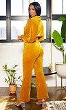 Velvet Long Sleeve Zipper Cropped Jackets Pants 2 Pieces Suits RS-412