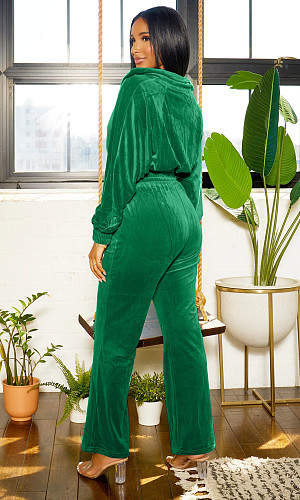Velvet Long Sleeve Zipper Cropped Jackets Pants 2 Pieces Suits RS-412