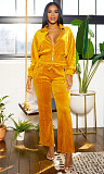 Velvet Long Sleeve Zipper Cropped Jackets Pants 2 Pieces Suits RS-412