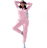 Velour Tracksuit Two Piece Soft Velvet Hooded Outfits YD-8760