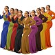 Long Sleeved Solid Overlength Bodycon Women's Dress YLA-9453