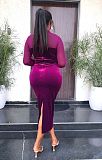 Long Sleeved Mesh Patchwork Slim Fitting Women's Dress YLA-10039