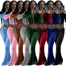 Velvet Zip Crop Top Slim Flared Pants Set FSL-171